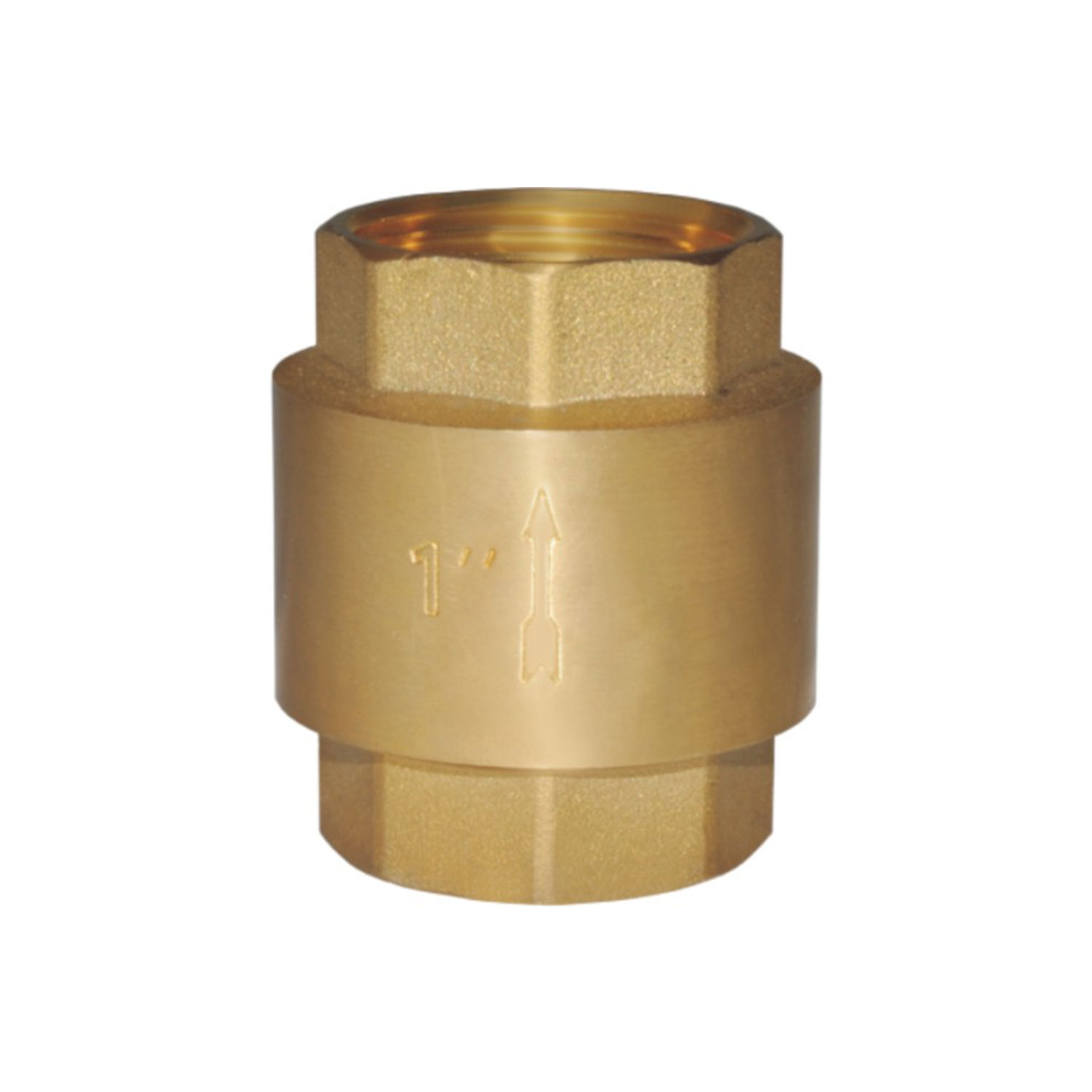 Vertical Check Valve