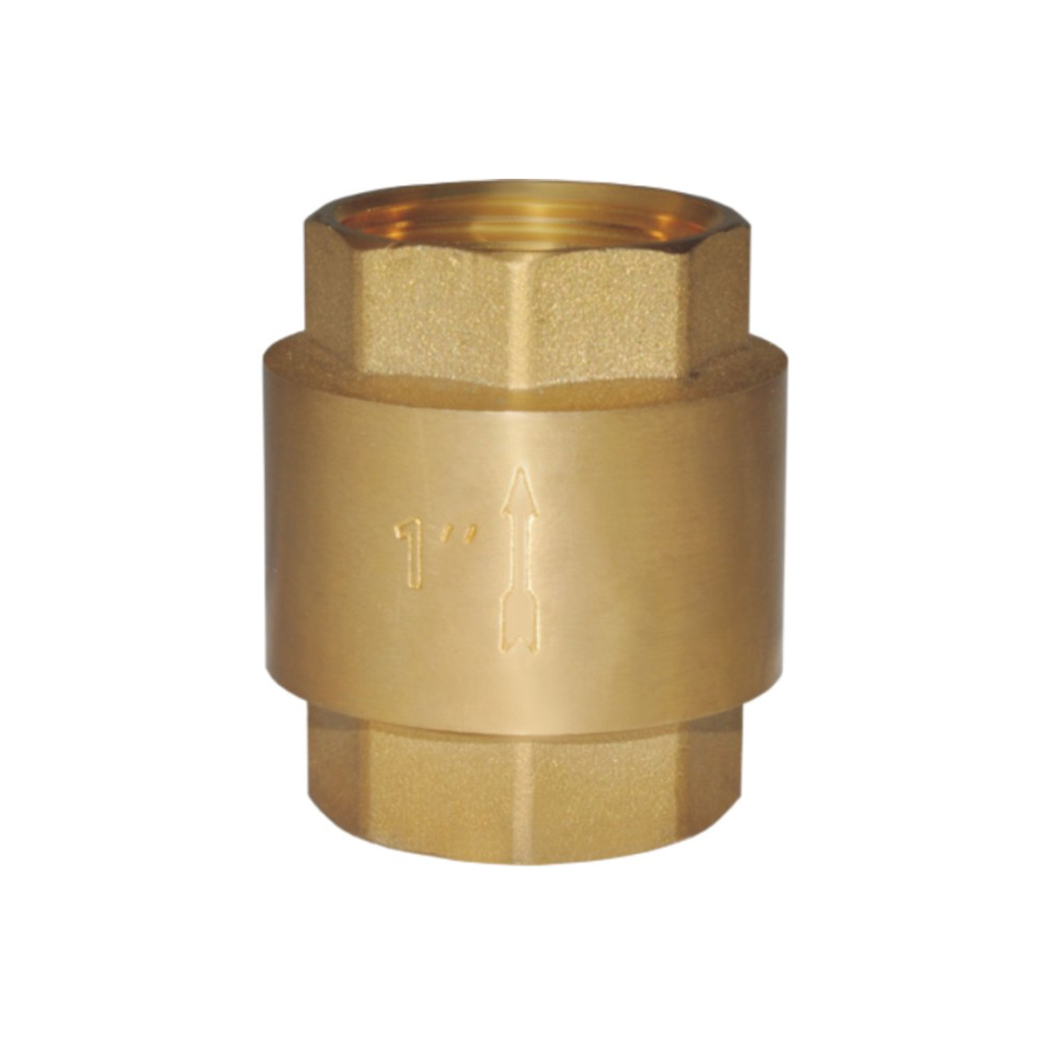 Vertical Check Valve