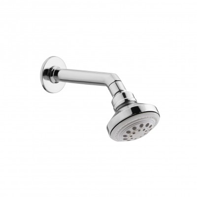 shower-with-arm
